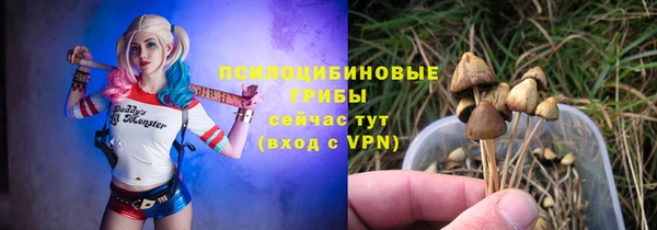 мет Гусь-Хрустальный