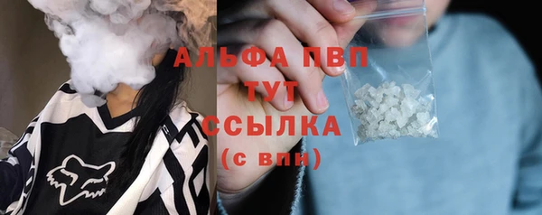 метадон Гусев