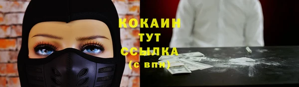 метадон Гусев